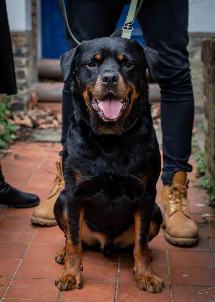 F521B380-A497-4176-A9DB-1F83D5C63965