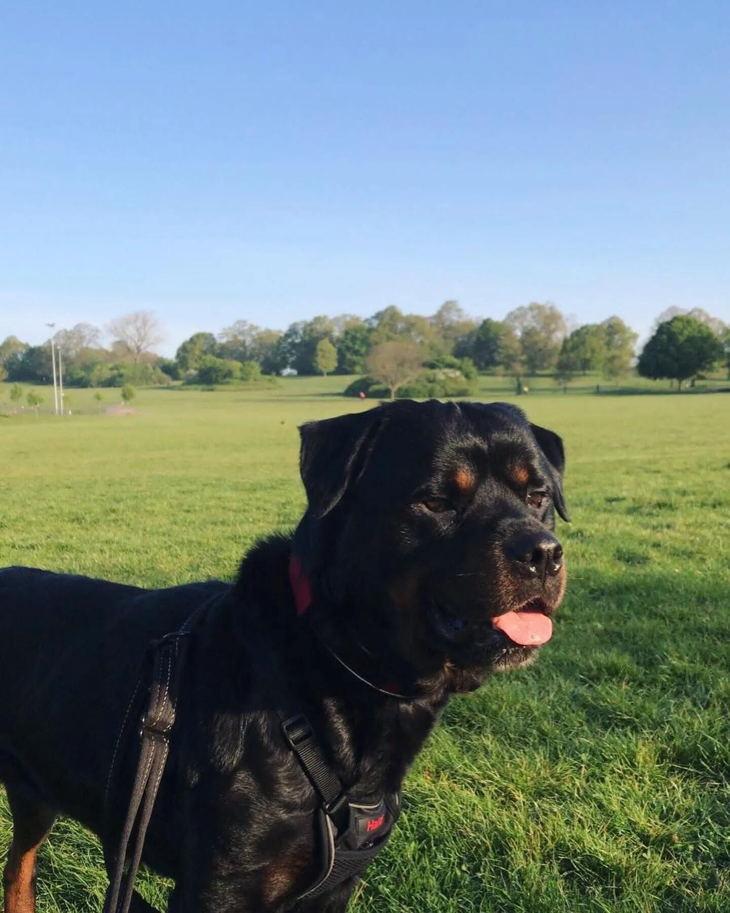 AE919618-4DA0-4F8D-8FA2-4B87891CEA89