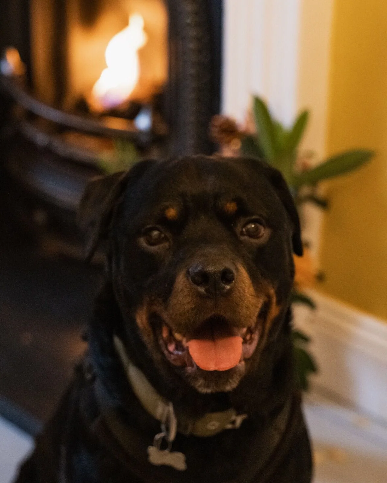 F7F8BD51-EF0F-4C5C-81BA-7DDC509525A8