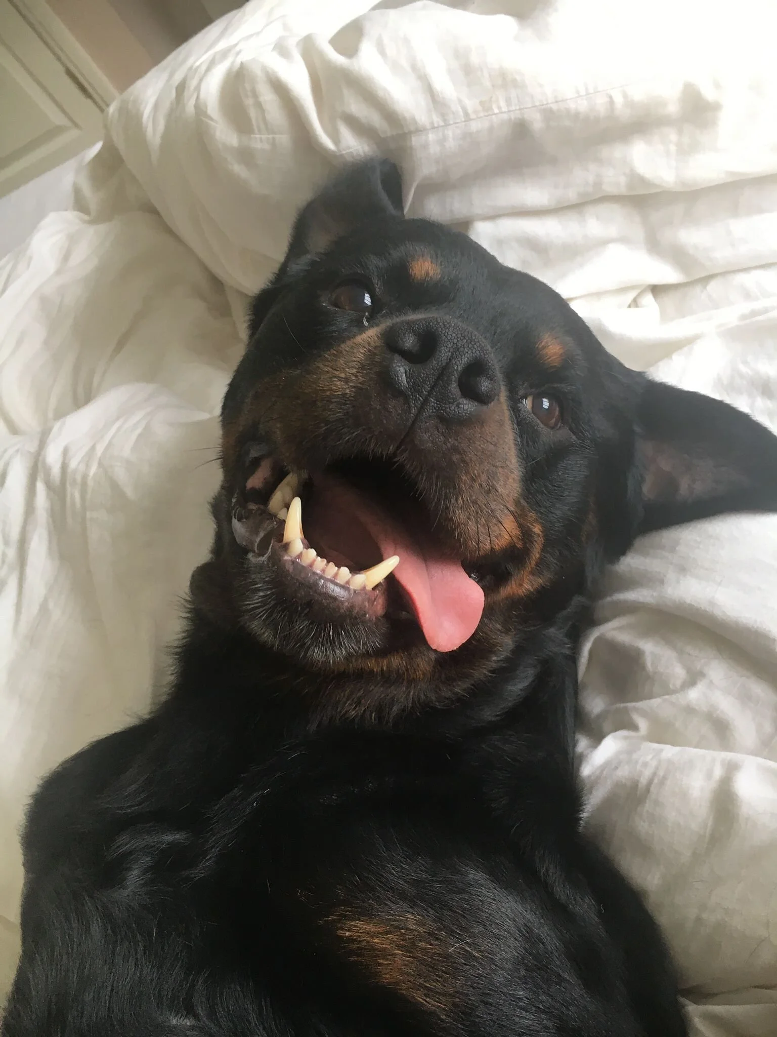 CC97E7C6-C478-4F59-B2BB-DDA35F6D5553