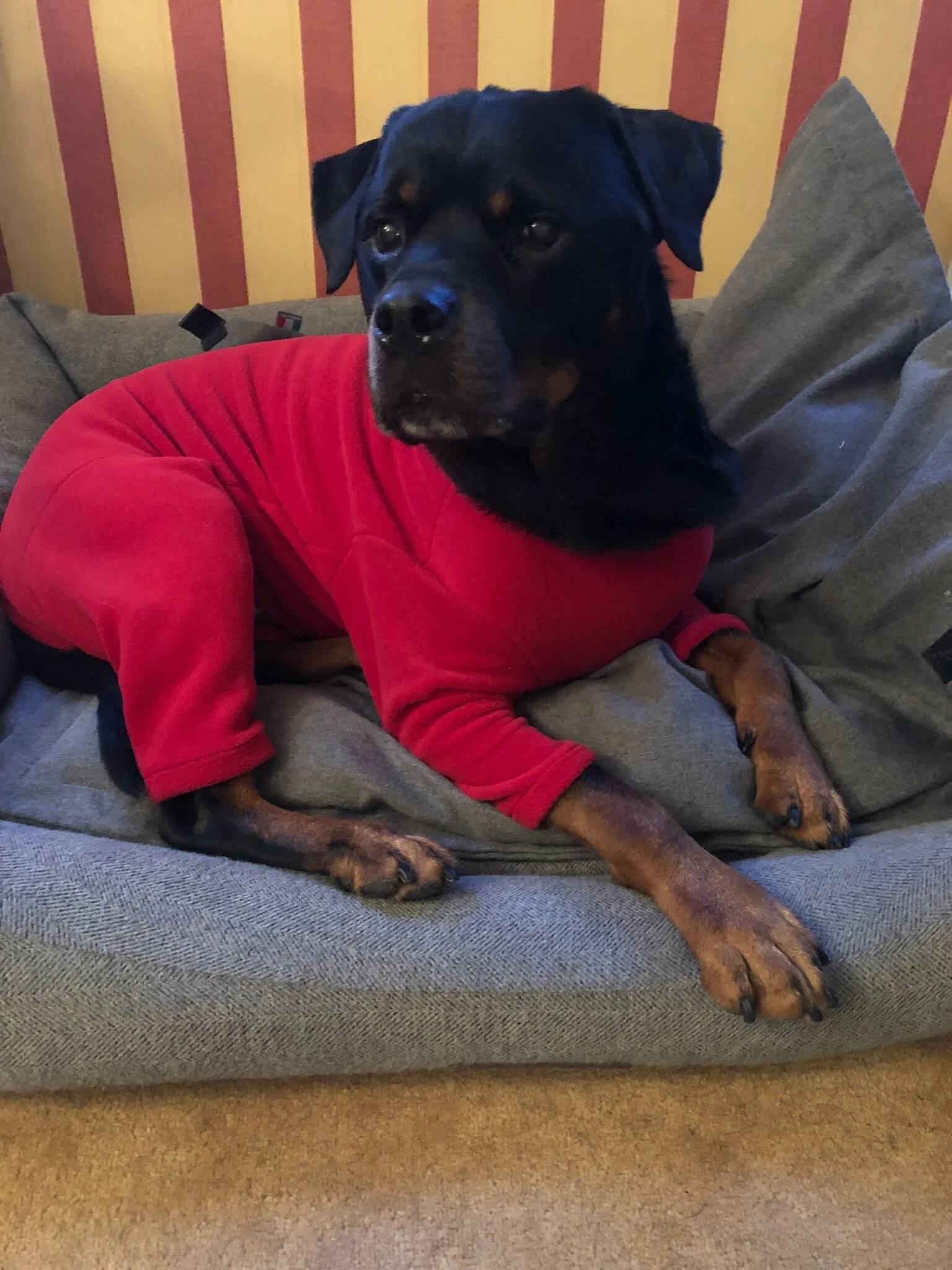 FFD3EDD2-7096-444B-9C2D-B29AA41832B4