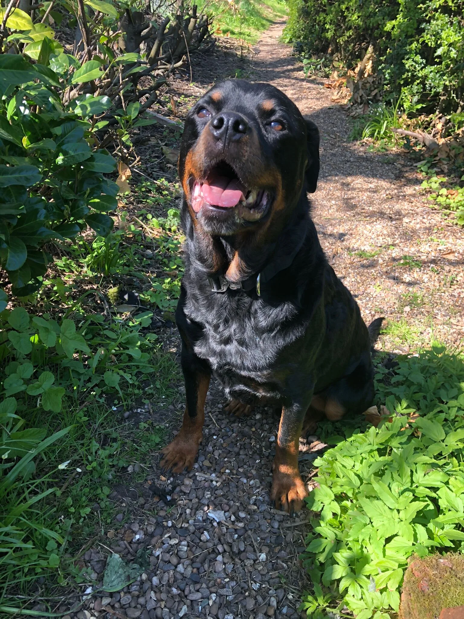 111966DC-DFDC-4F74-8463-253B48BD5378