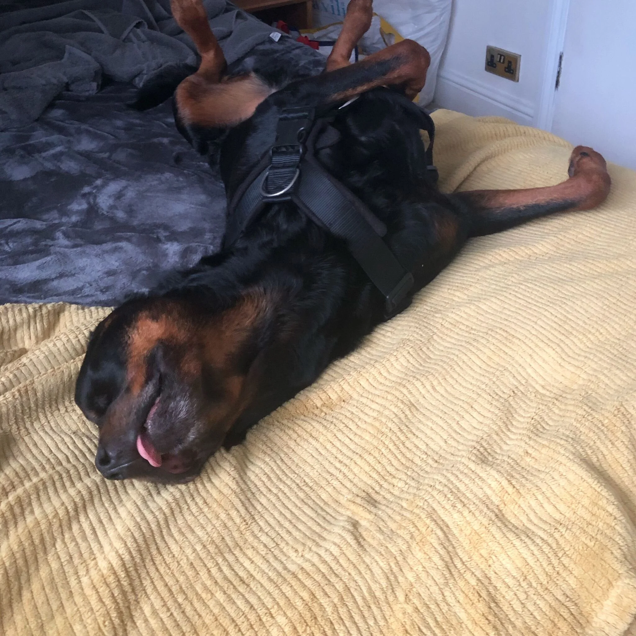 28BDA6DC-7F46-4F73-857B-C6AD3335B2B9