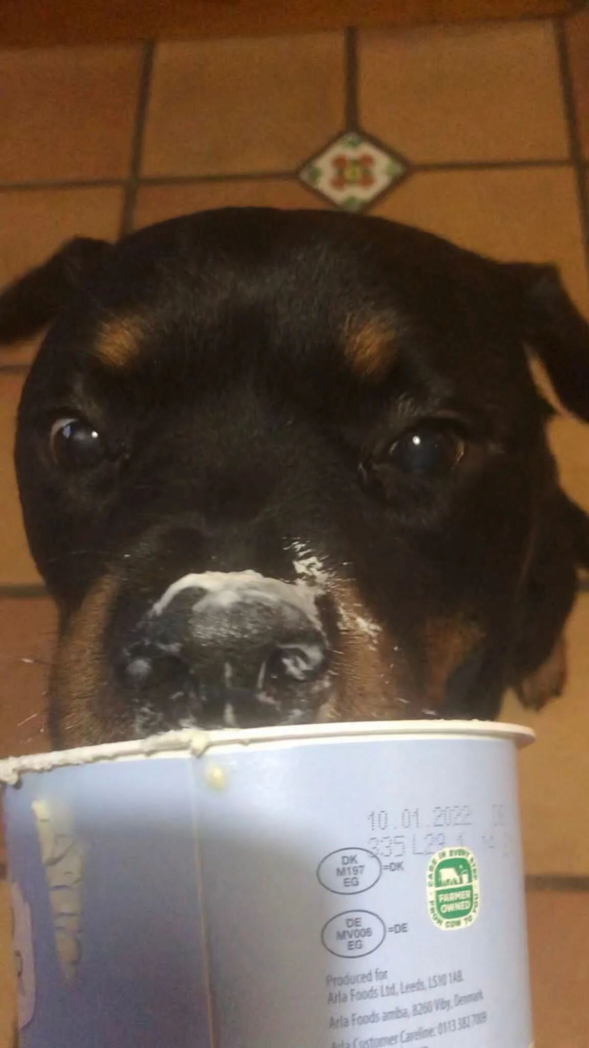 4BC75F91-BC14-40A1-8D79-0C3F81E8BC16