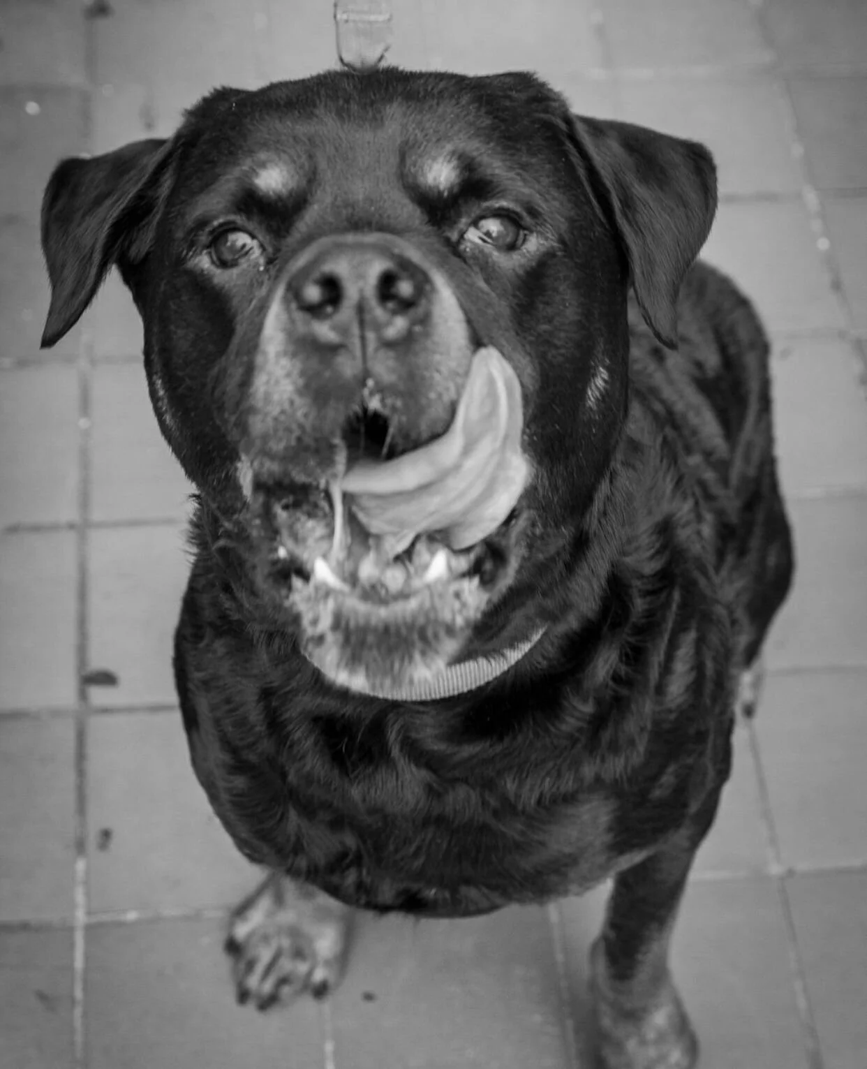 74390BDC-9E24-4A32-9C22-1998EE57C764