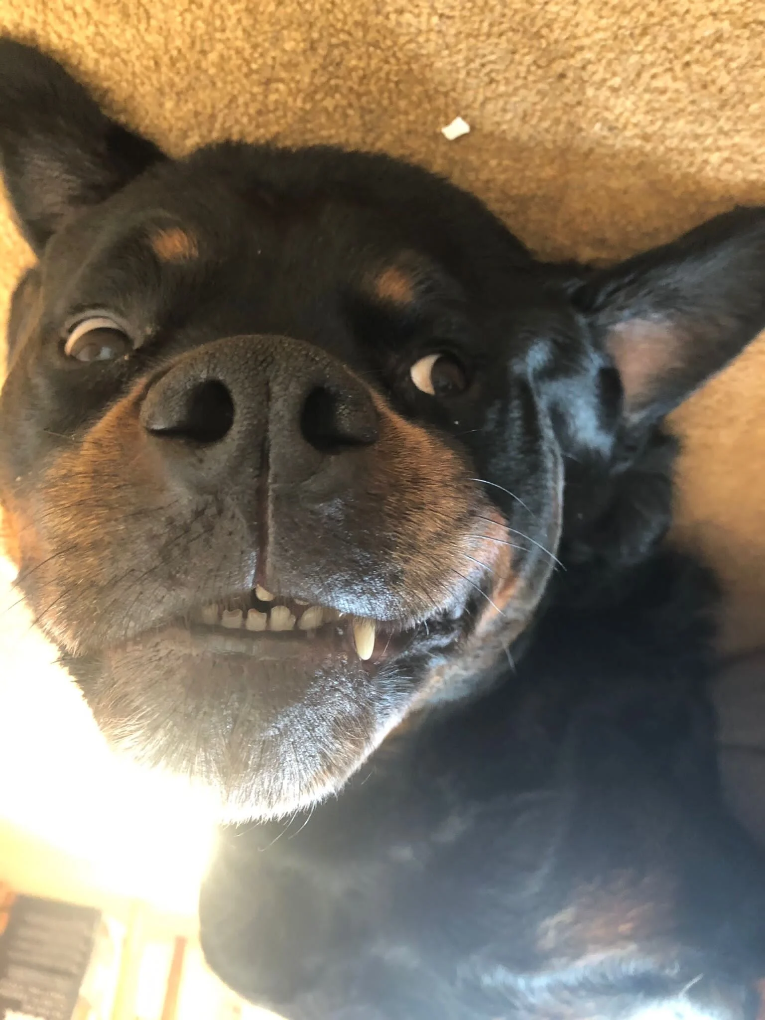 3F4C68E5-119E-402E-9A3C-867717B0E4F5