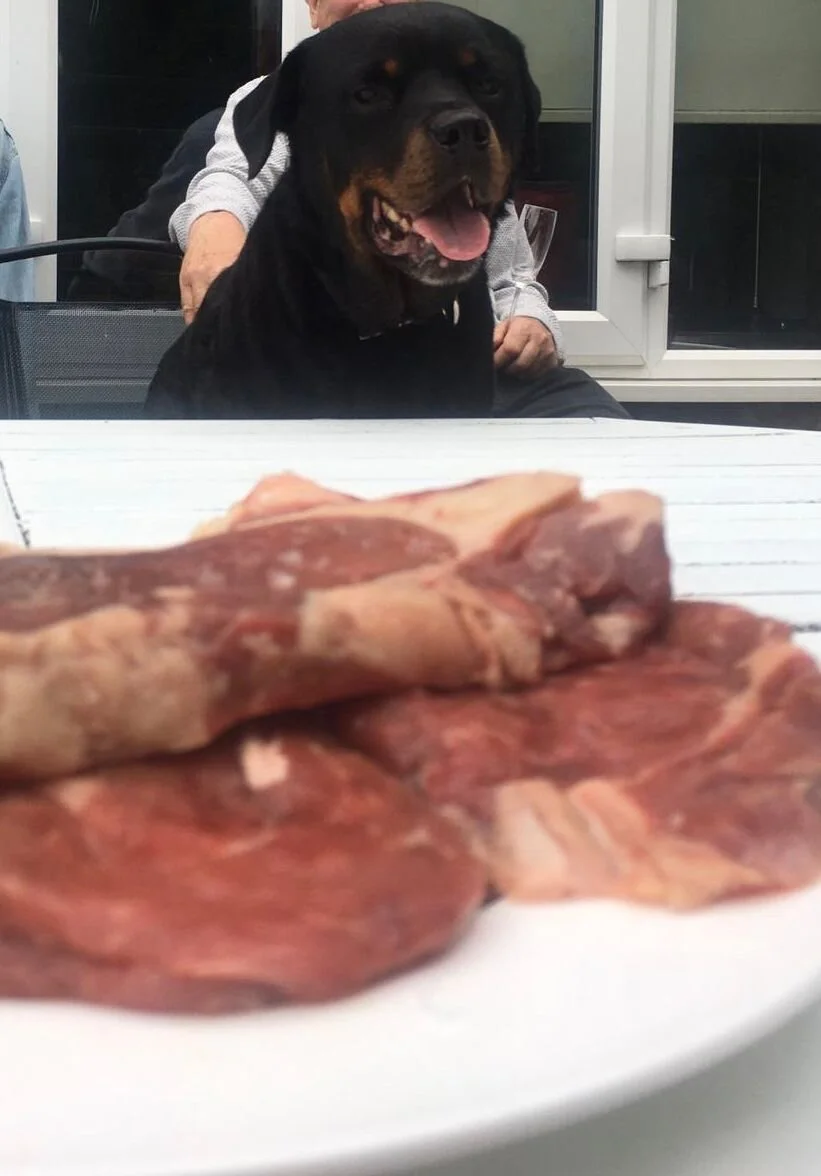 8AAF35D2-401A-47FC-9754-DBDDFCE59609