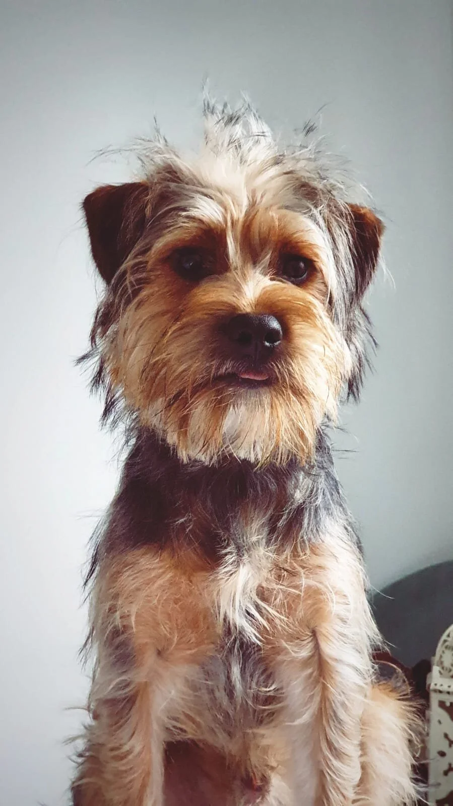 DA2FCABC-3E5D-46F2-B4C7-77E9C4D387BB