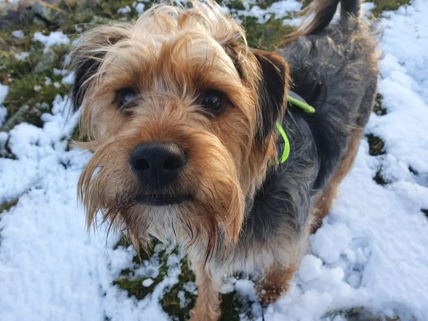 34DB8F84-19E8-4AF2-A27C-F14112FA79C0