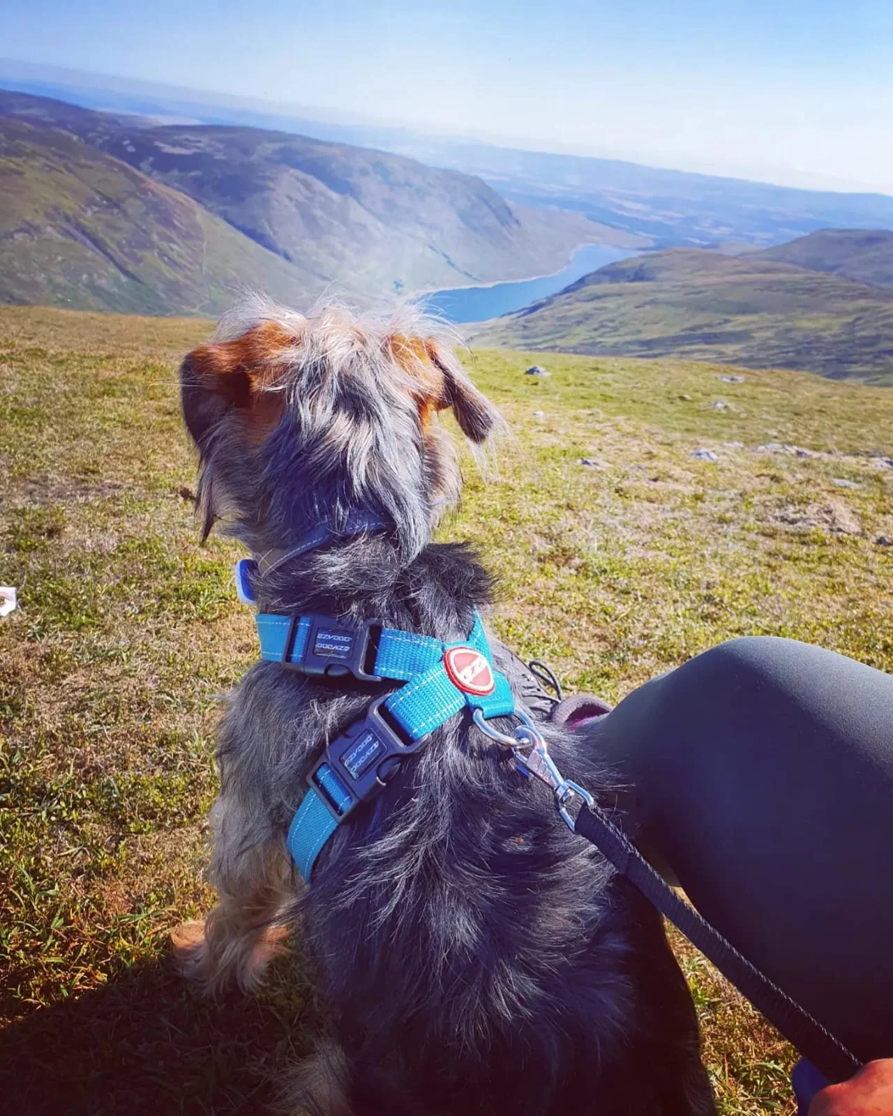 782B6939-0B40-4D74-9801-BAC70756D29E