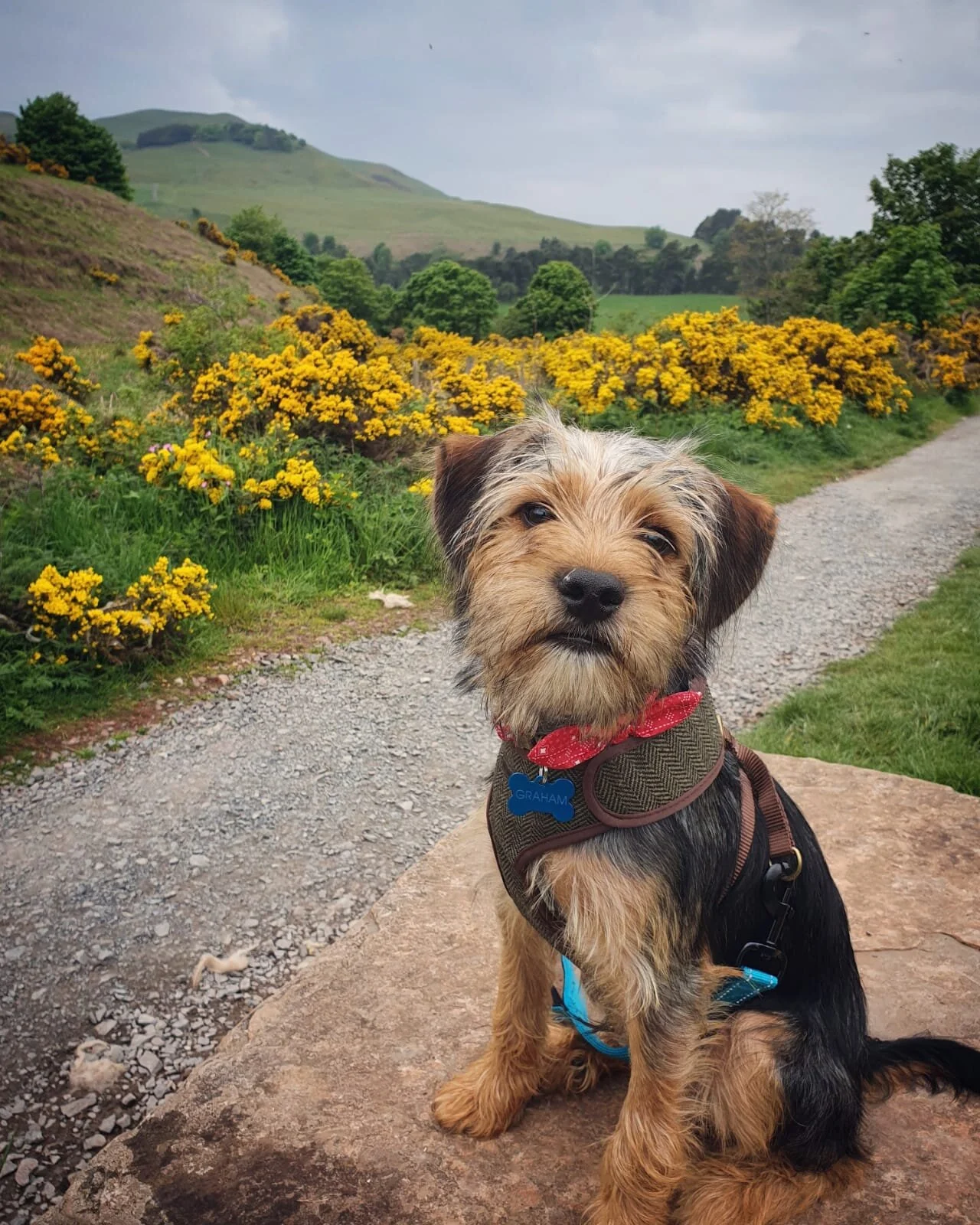 361C0A6F-C0BE-400A-A74A-2D57A641E41C