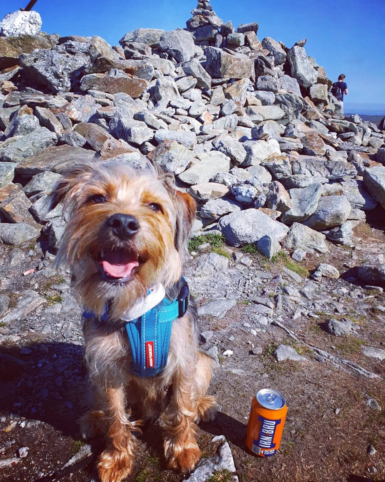 590C7AC8-1D81-4816-9D9C-6E88FC2B6F5D