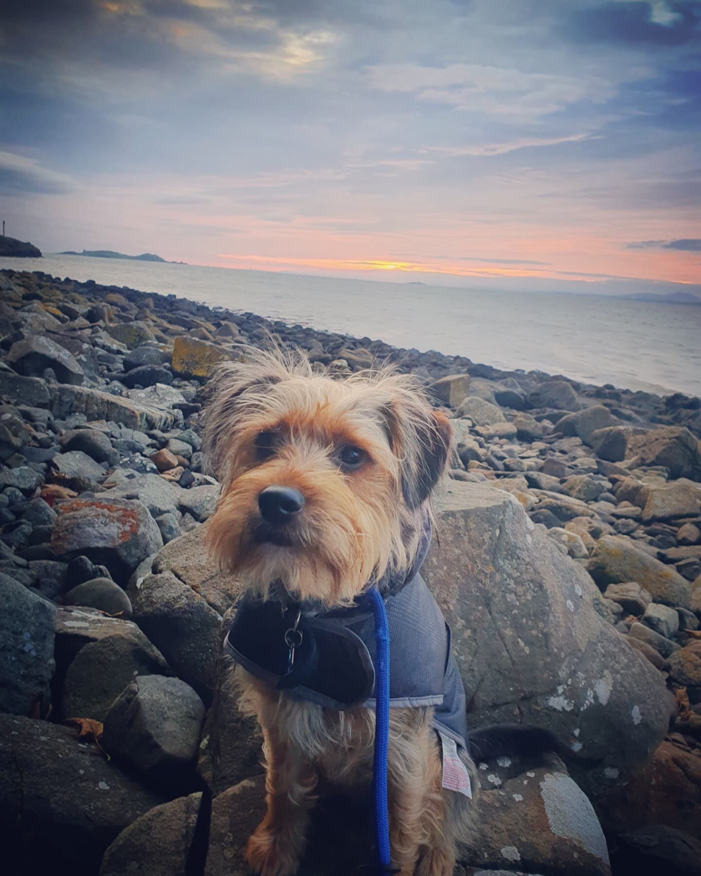 873AF1A2-C118-4620-80CA-B697C67EE9C7