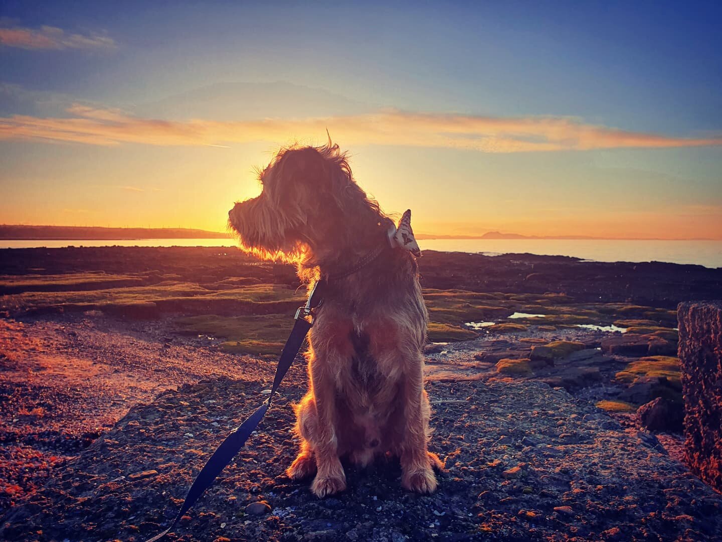 ECCA0300-3A97-47A0-877B-BC56D5093C90