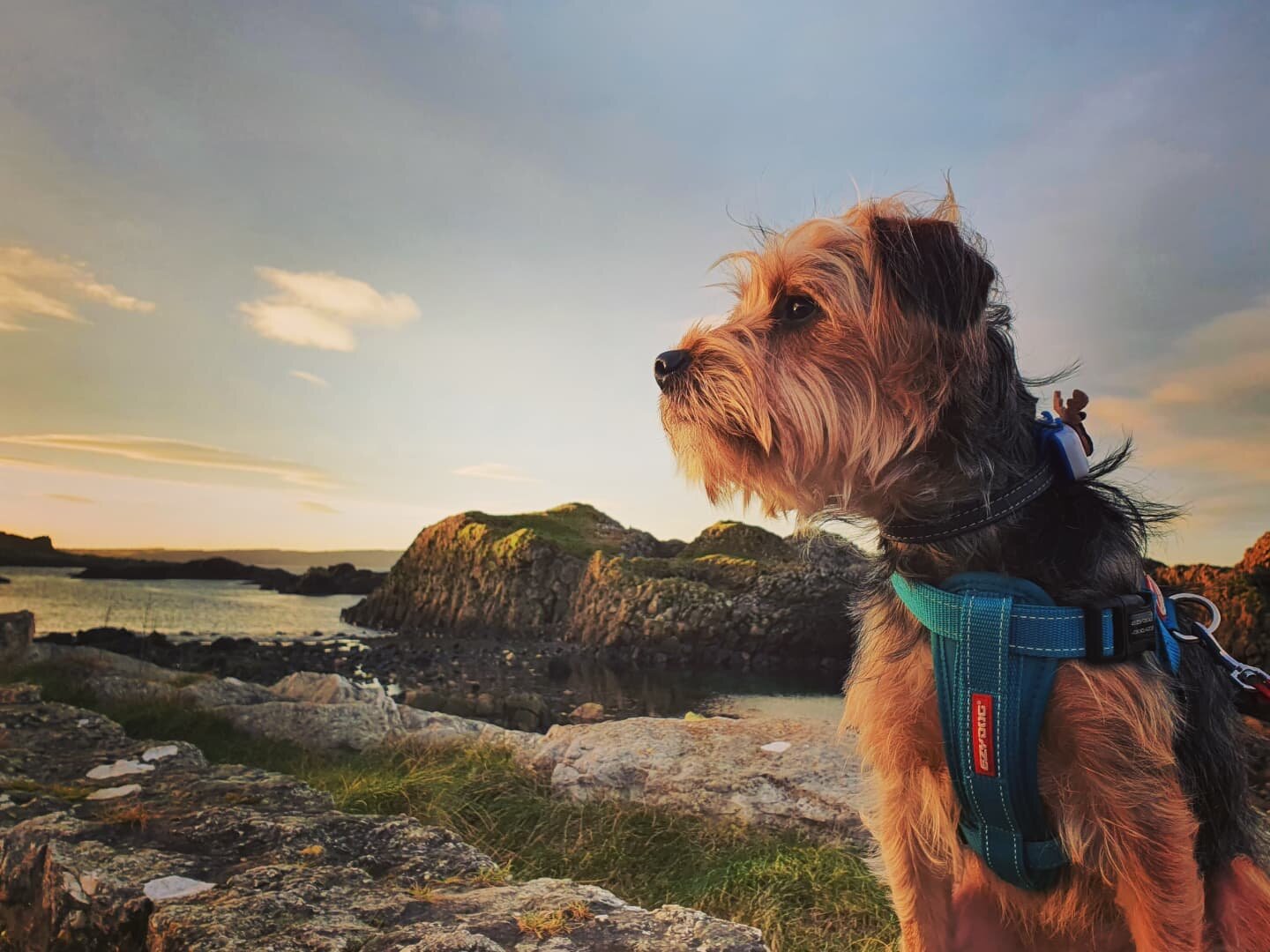 A839E1AC-7469-44CD-AB2F-99F52DC8C571