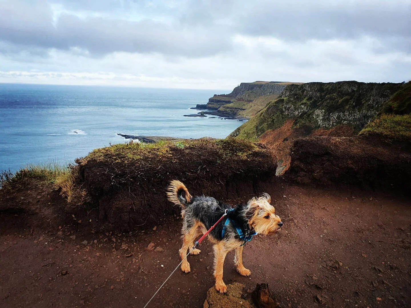 89D0930A-6E86-43D9-9121-AB3056A01A0F