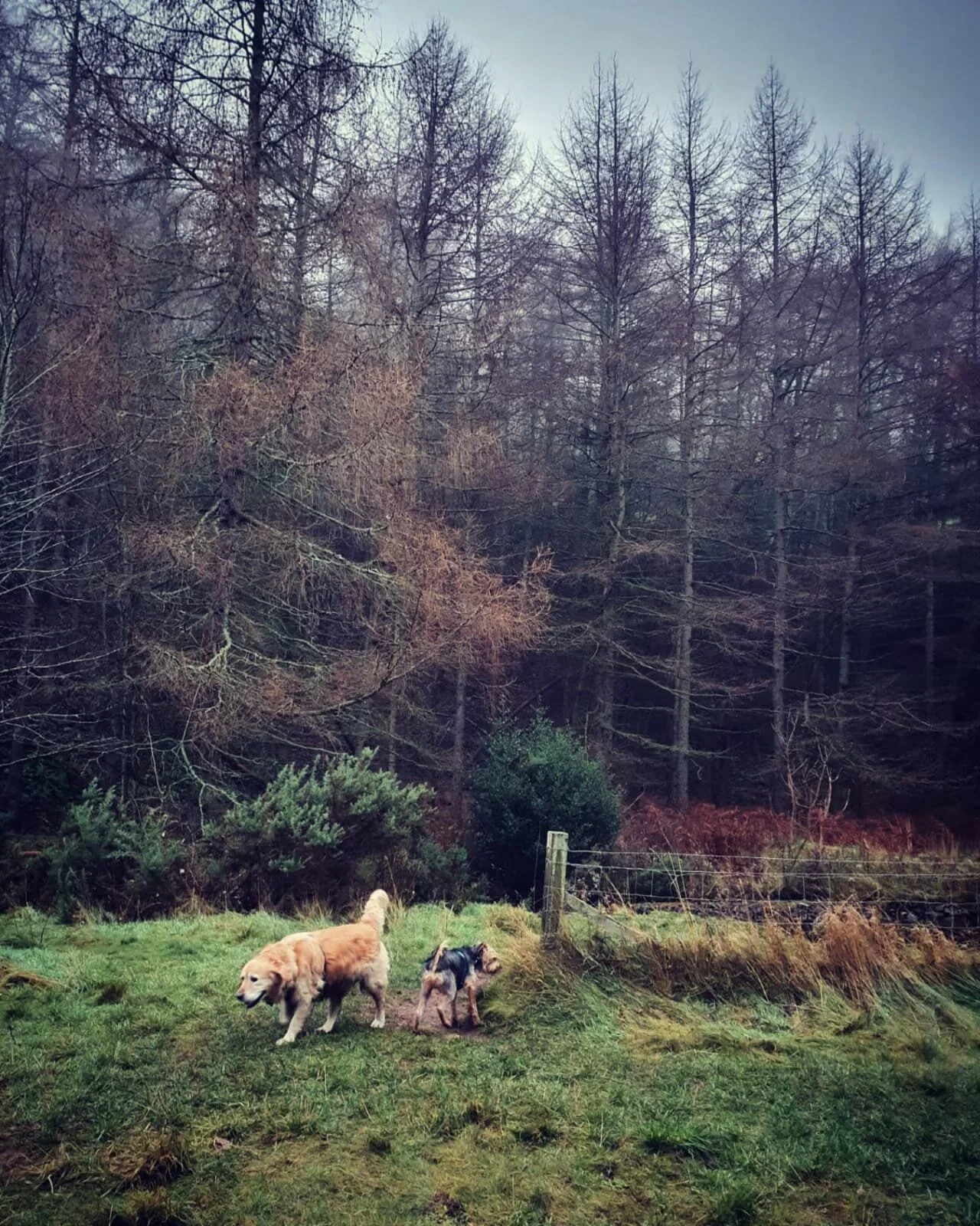 1A00B755-33E7-4725-8F0F-E17EB35B896B