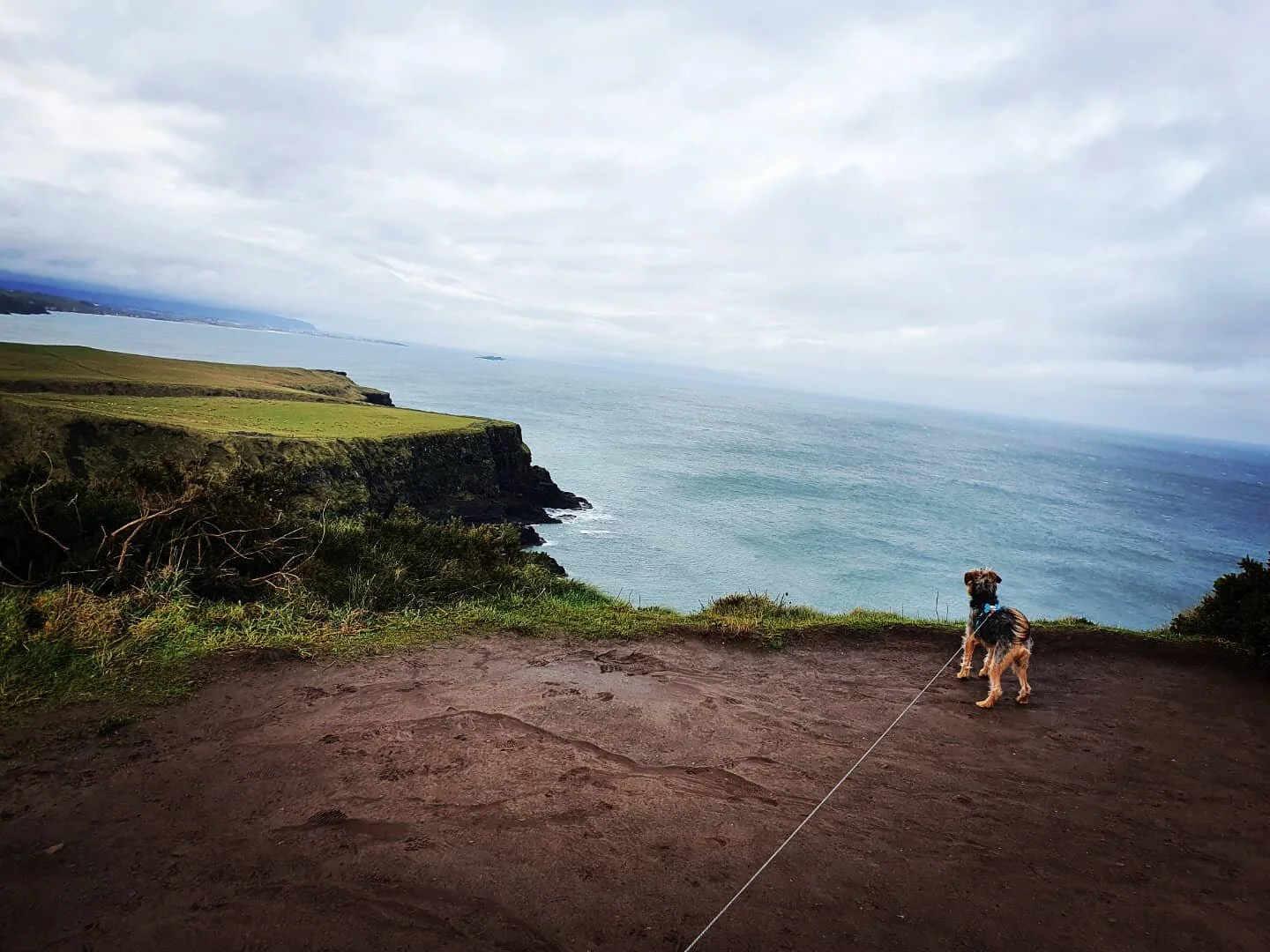 34D3D2DD-B6F7-41D4-B0BE-4158E65C93B9