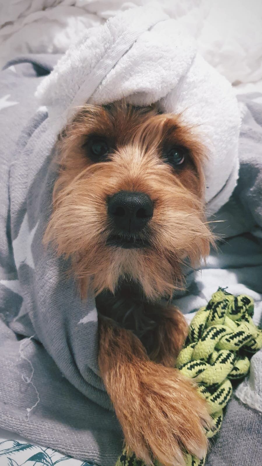 1386CC3A-22A2-46E8-AEC2-B69E52C271CA