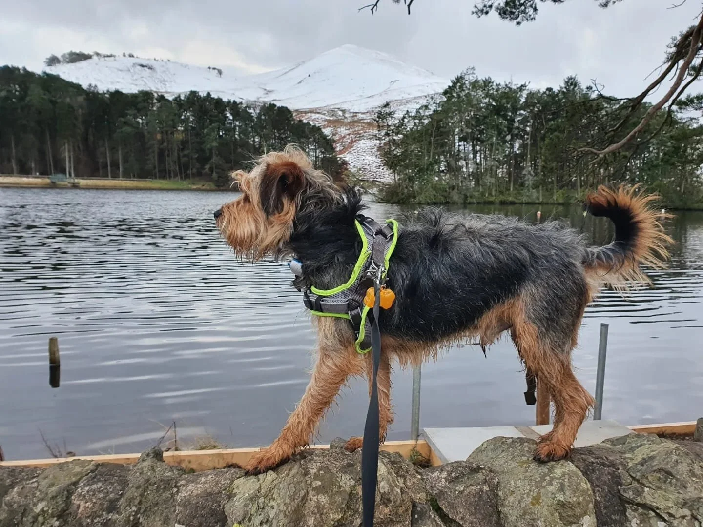 FF3A91B2-6357-4753-B075-00E1AFDEBF30