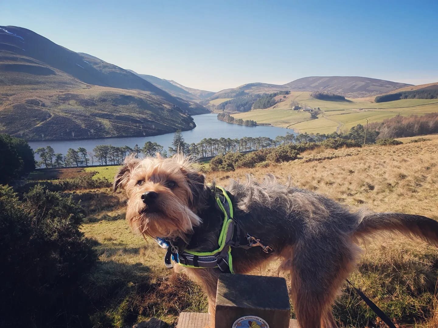 A8053CEB-9133-4227-AEB5-44D82FC843E8