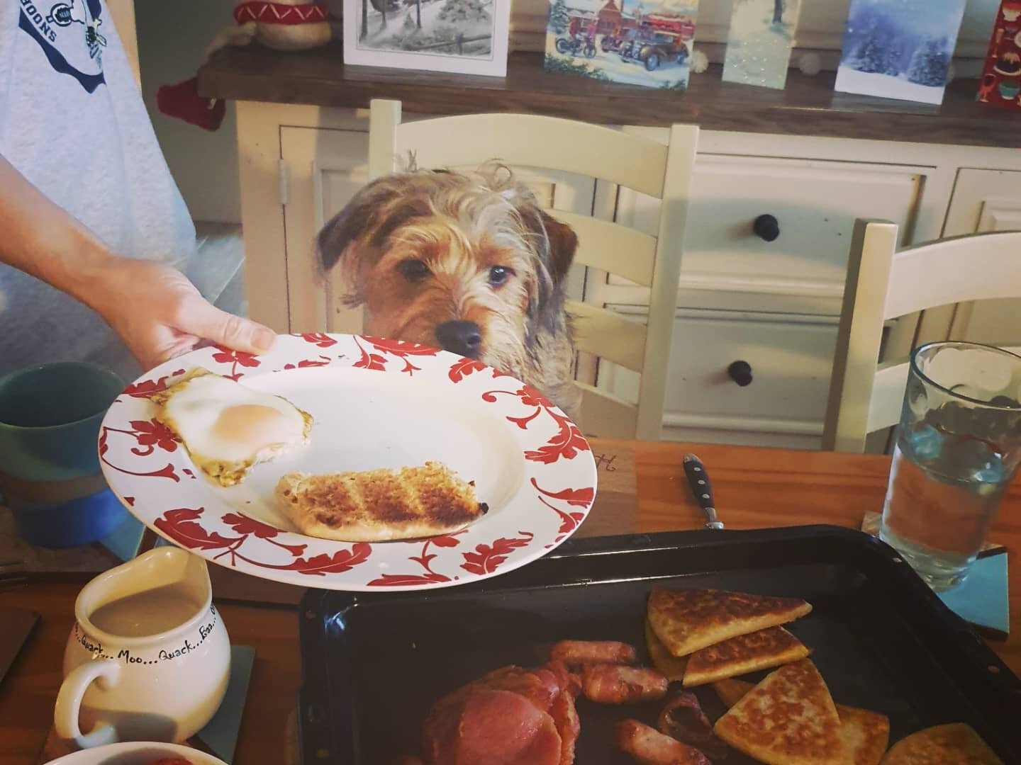 B5B87F73-6DAE-4426-A1E5-0F0E3FEDC090