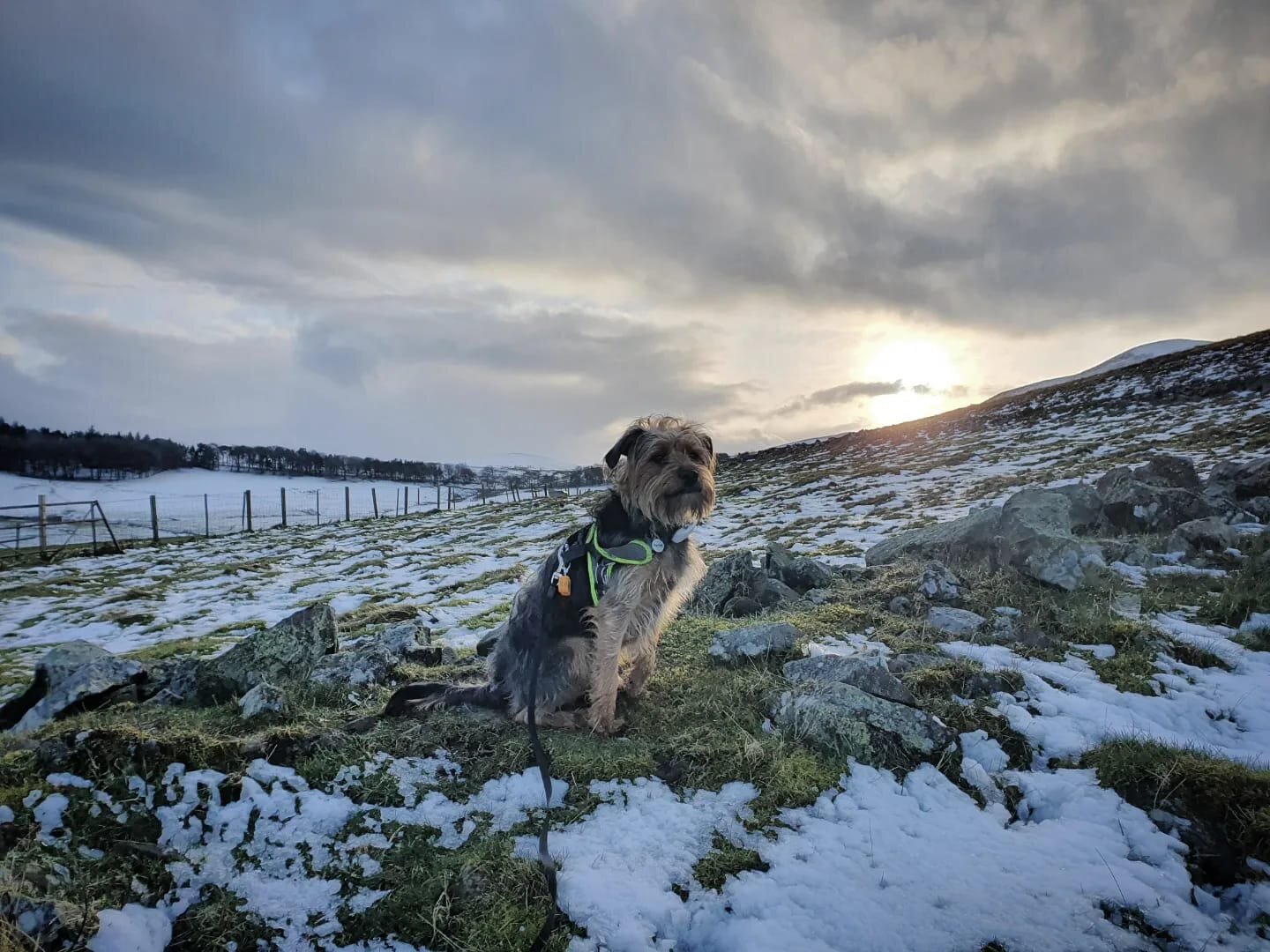 02EF9BD6-7098-45E0-85DA-01D20AEE4403