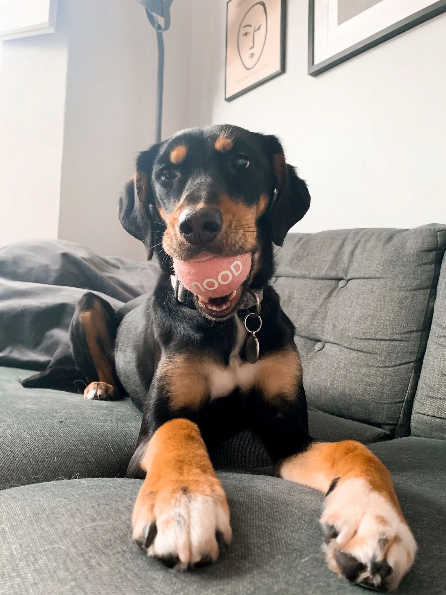 110E4621-F95B-4D6F-A6CC-8D2CCAFD4123