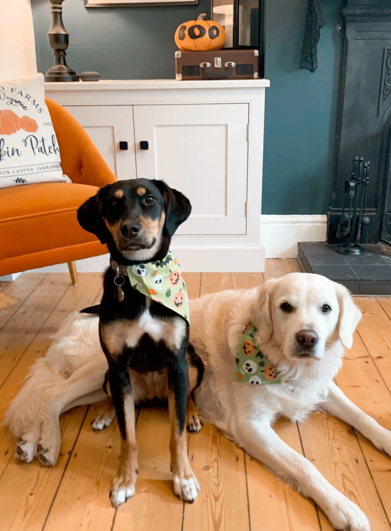 541E642A-4C3F-4674-B5C7-4C2E739D2BDB