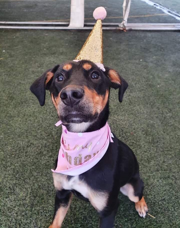 D857D983-BA79-436F-AC0D-52983FD83B1F