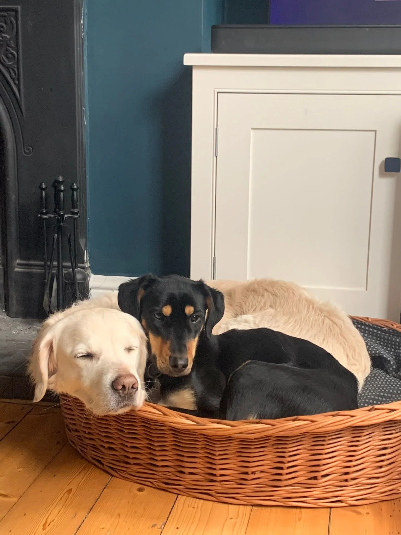 F9E89D8D-8BB6-48A1-A217-2FAC7D060568