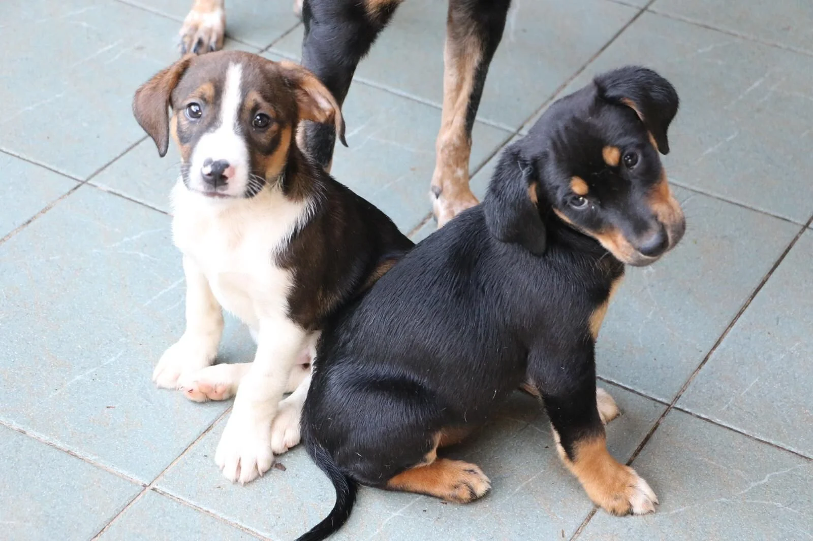 ADBDCD8D-B957-4DFE-B082-29BA468A109A