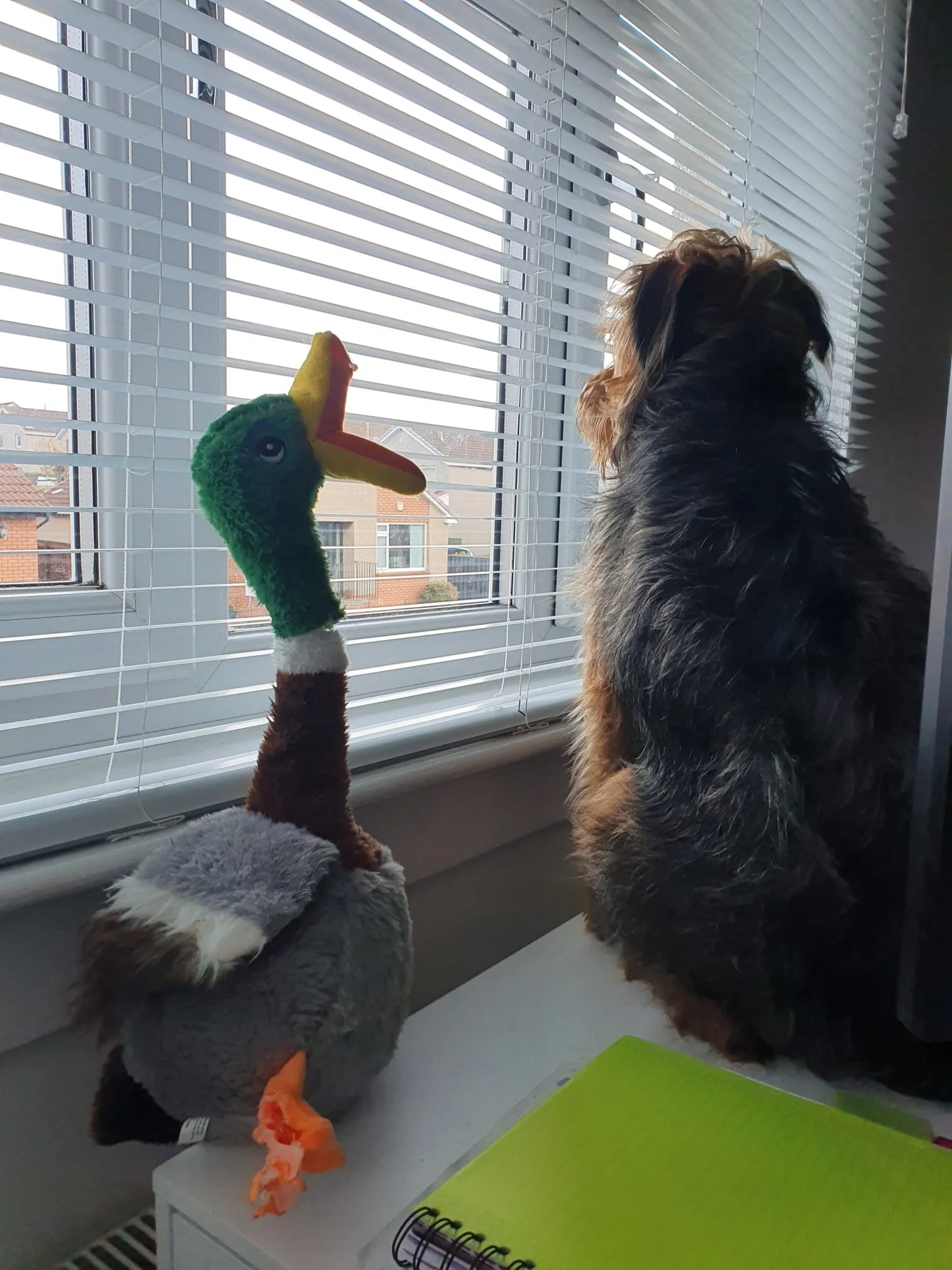 D40DB476-B1AB-4E2C-9A59-6668627DC0C4