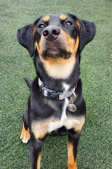 1FF11782-01D3-4917-B873-34C6882418C3