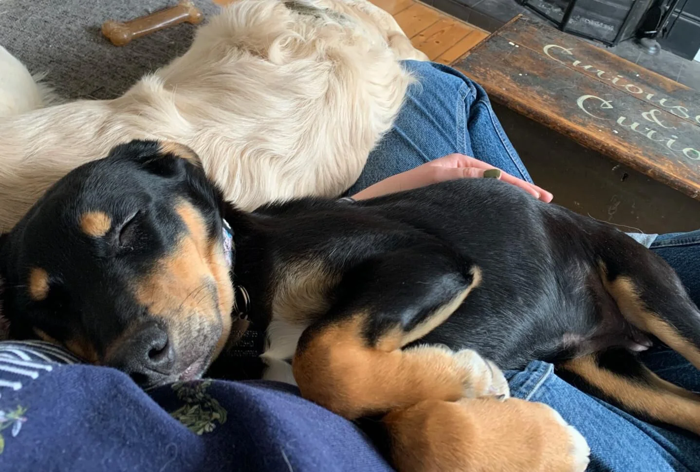 6CDFDAD2-5F9F-4210-A54D-BDAFD4E00B24