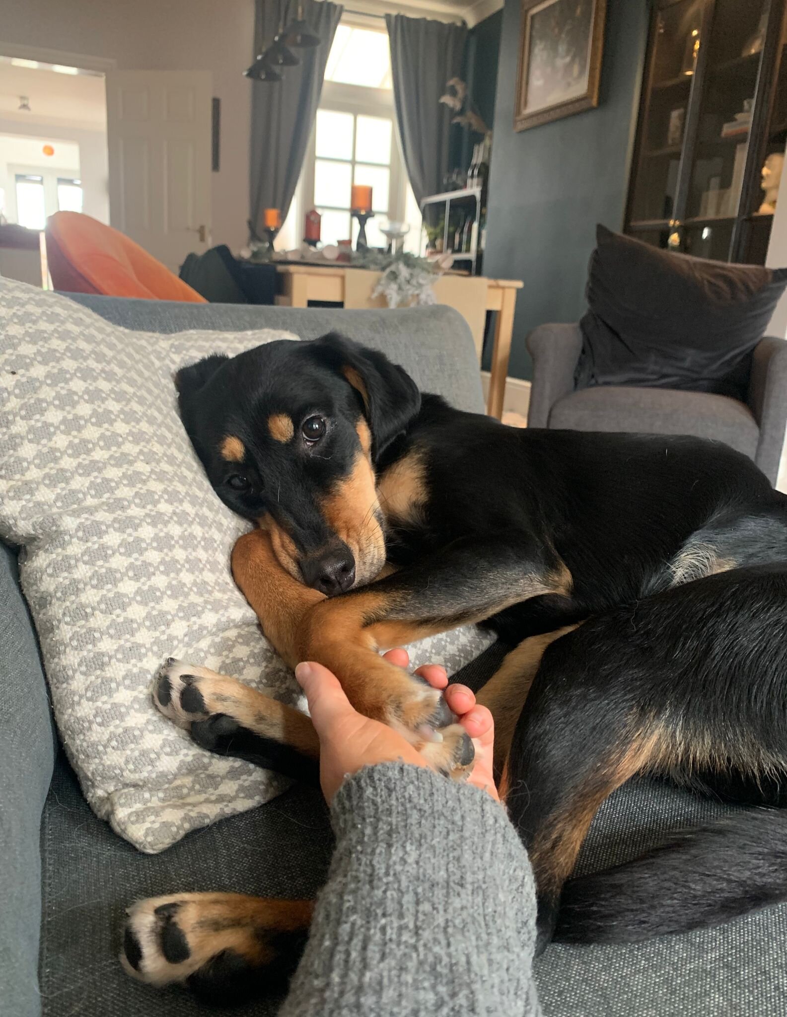 976C247B-A4B1-484E-B764-3DFB32EEAECB