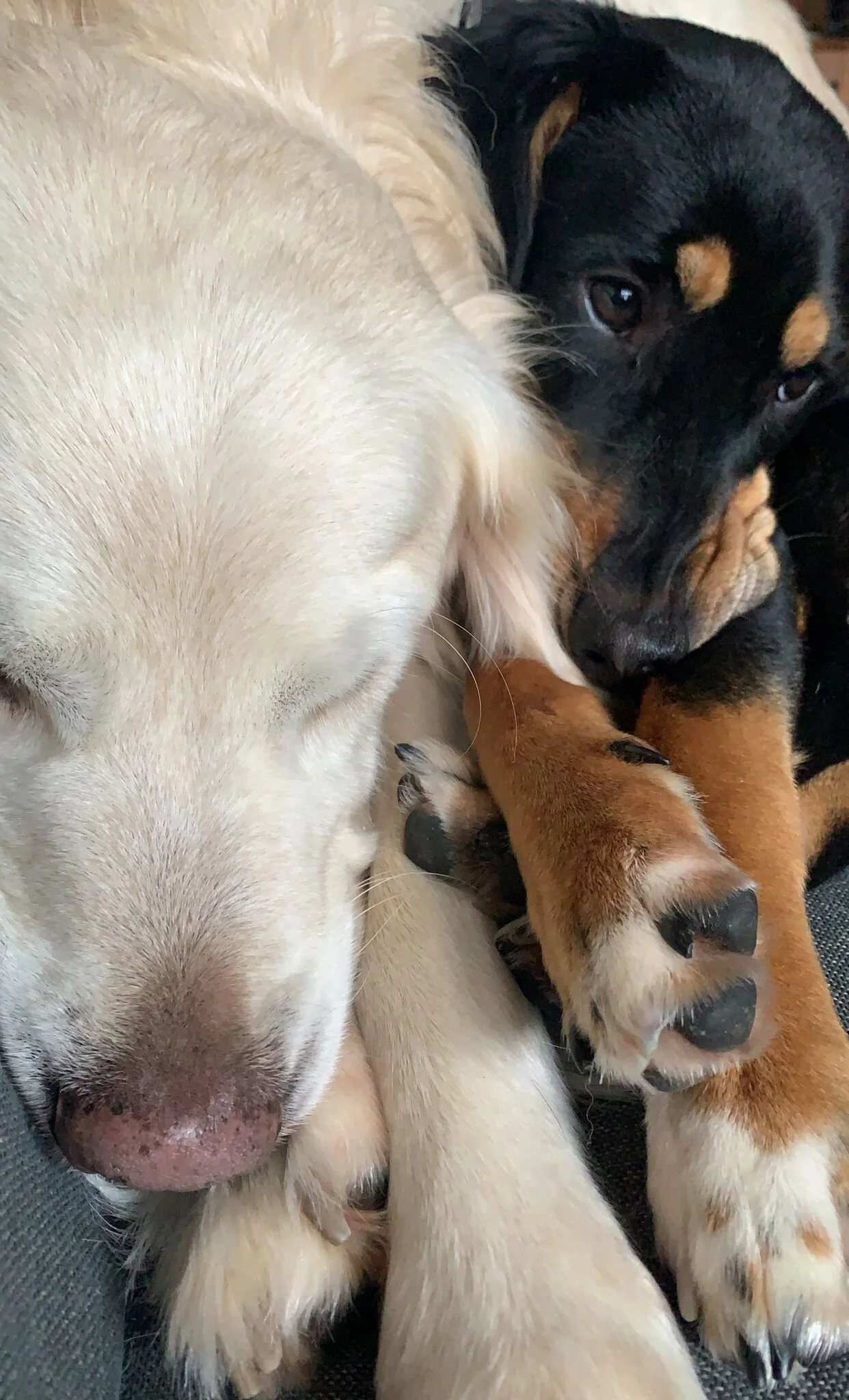 1A264AD7-4849-4710-957D-CC47E29F05C2