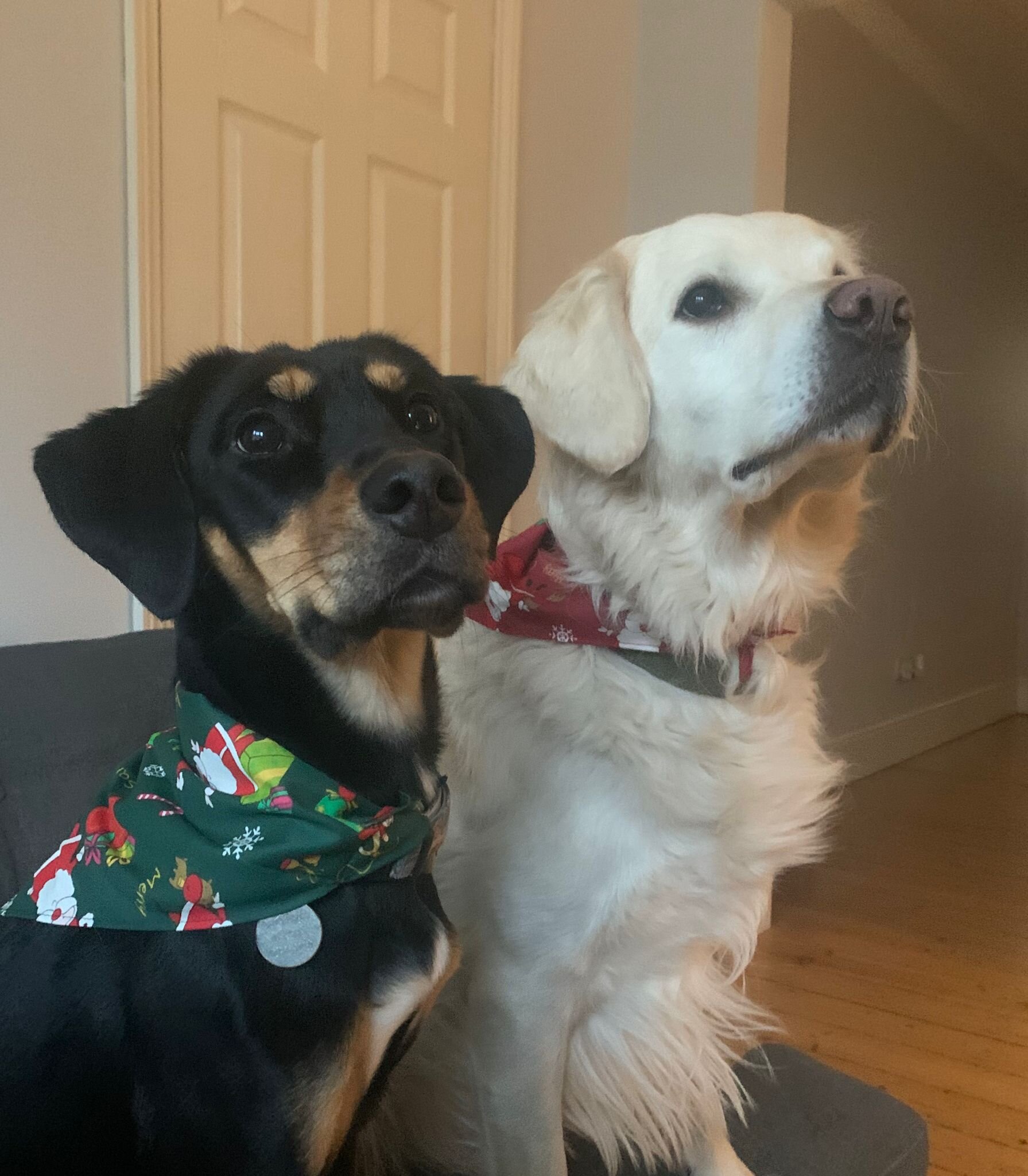 BD641D94-C9A6-4A44-B955-BE4E8CA65A87