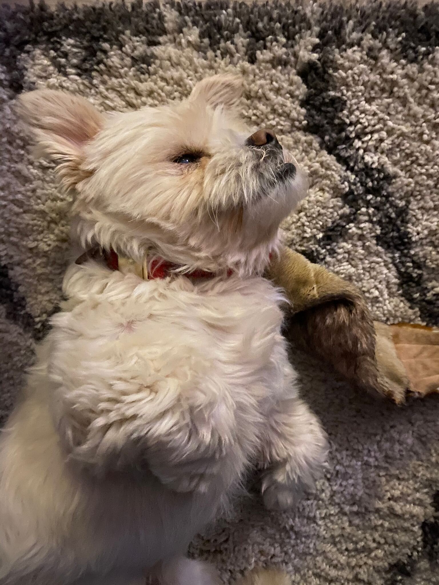 F6D5172A-E4D5-4618-88BB-A957EF0DC553