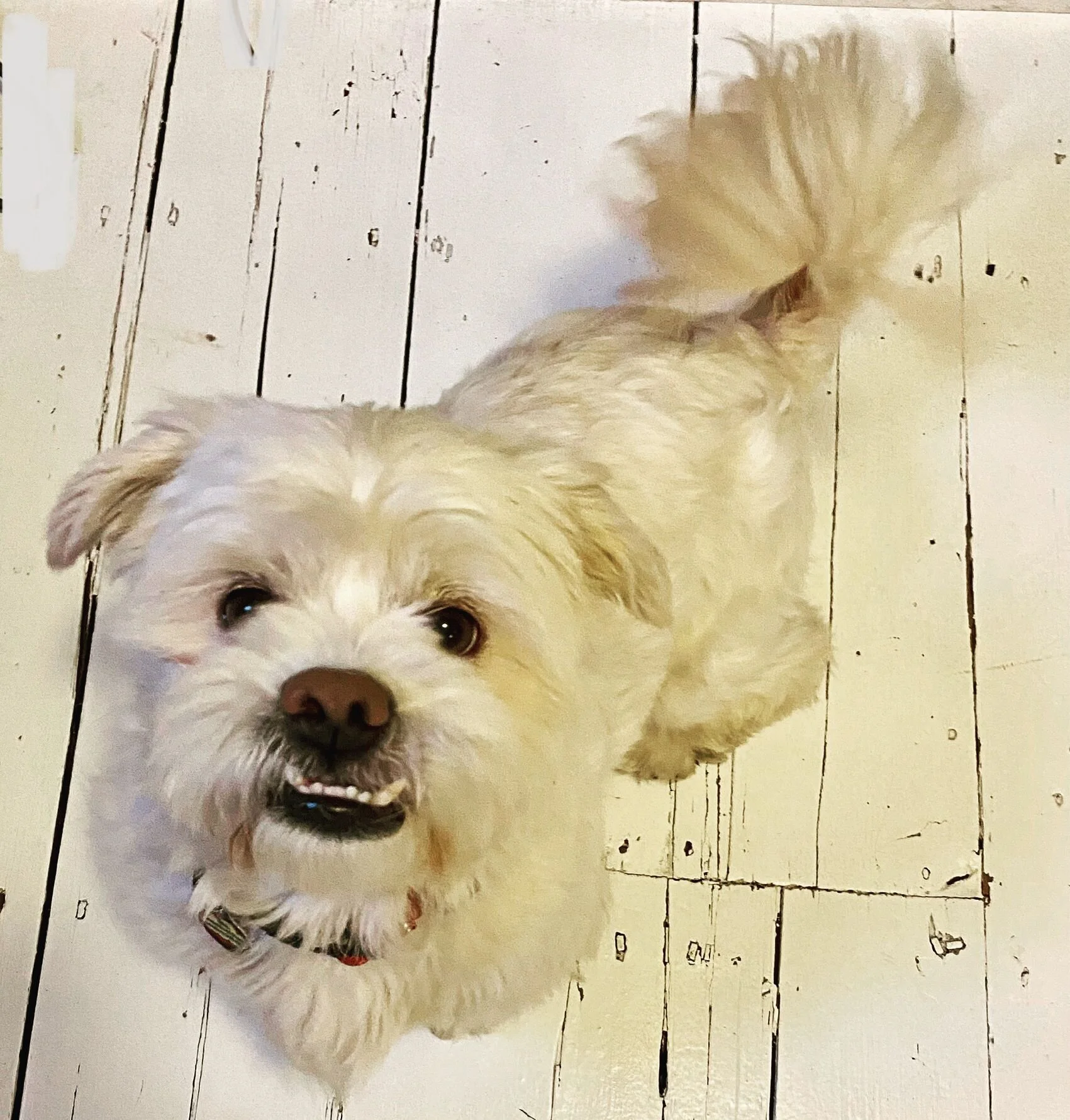 558D3DD2-AB0A-40AA-A8FE-D0DC3BAB4325