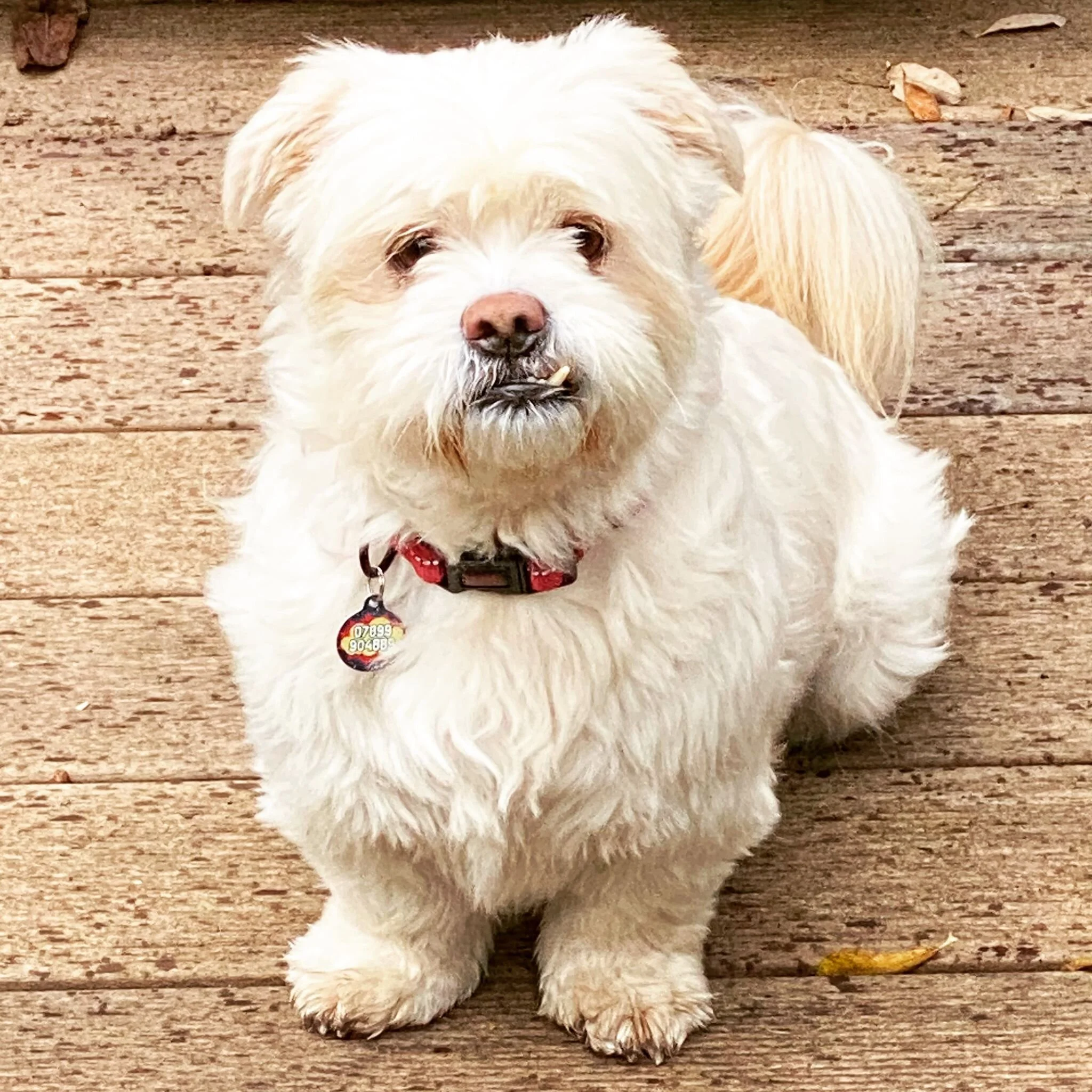 68748051-E655-4684-9C2F-E6AC7439A254