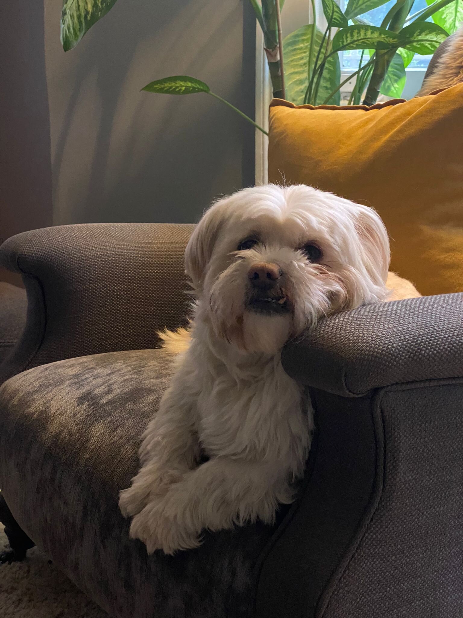 51FAB599-2660-4EC1-8591-0065221B06EA