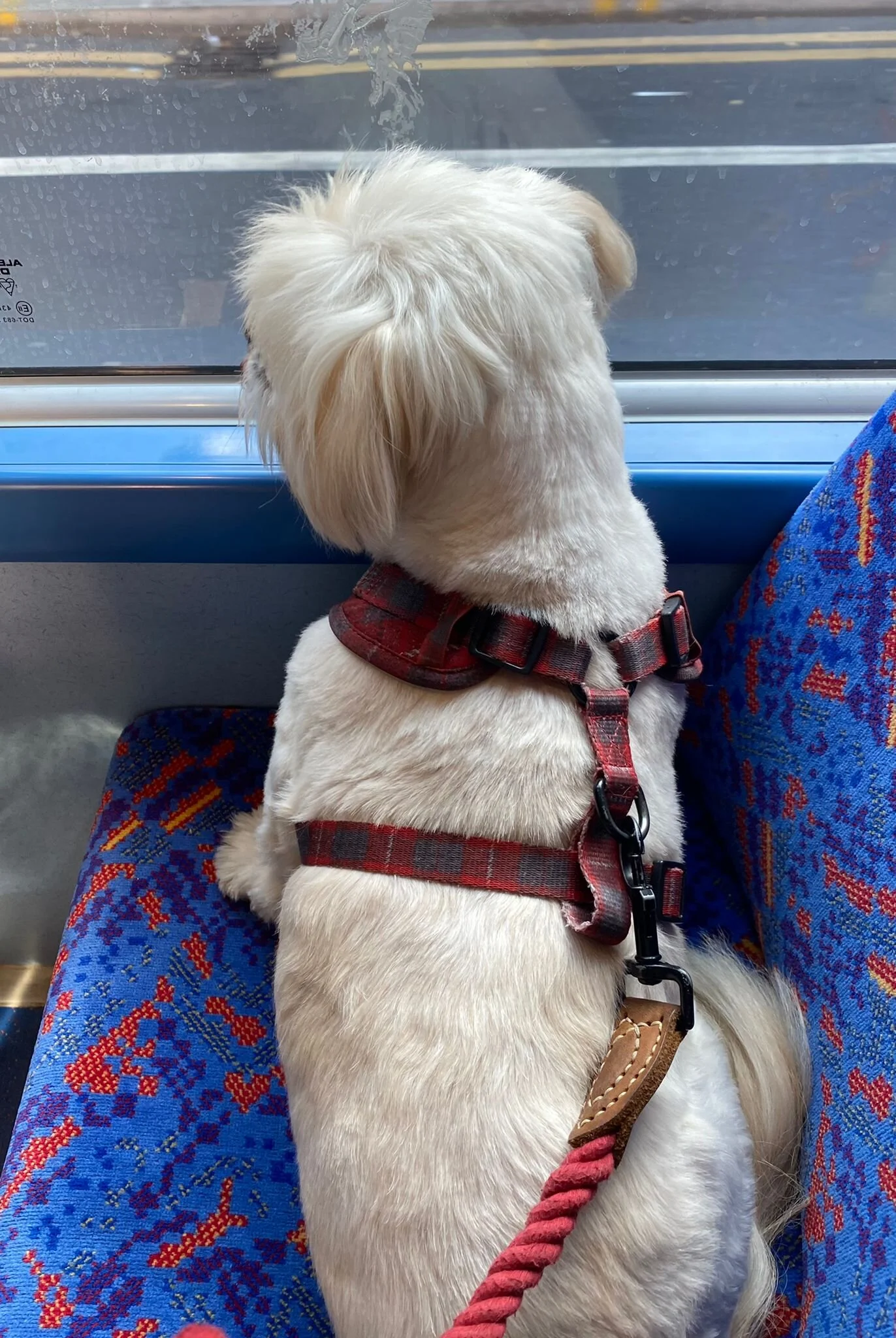 F07914FF-A911-4F46-83D8-BF7762CFD5A9