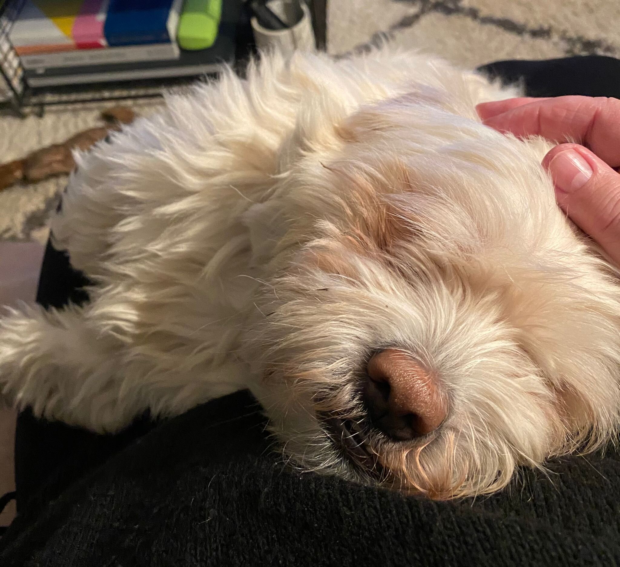 DF503221-E88D-421D-9EDA-CB167D83CB5A