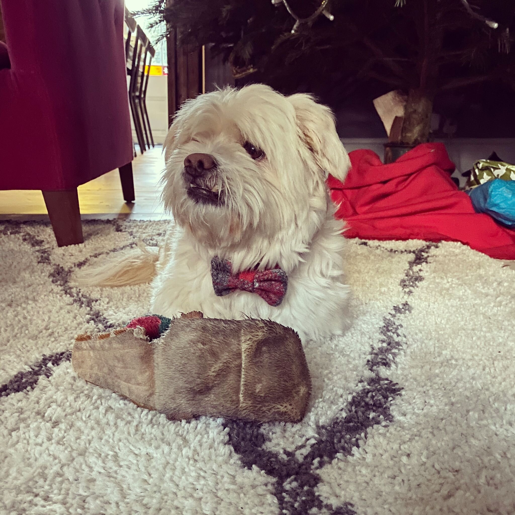 91C8DB00-A76A-47AE-BCA0-1B62E909F648