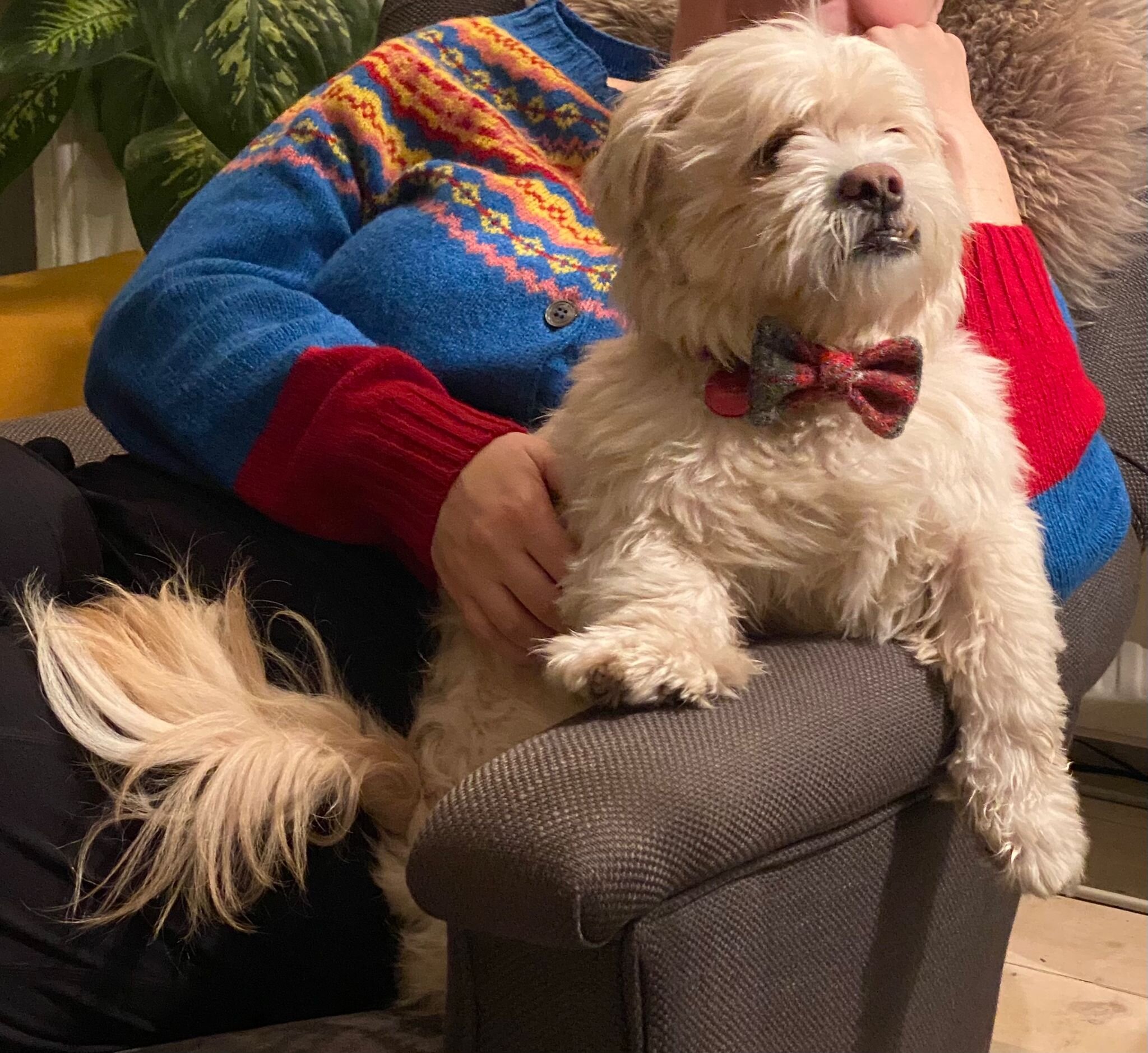 0241514E-50DB-489D-B12C-CA7AD6067CB4