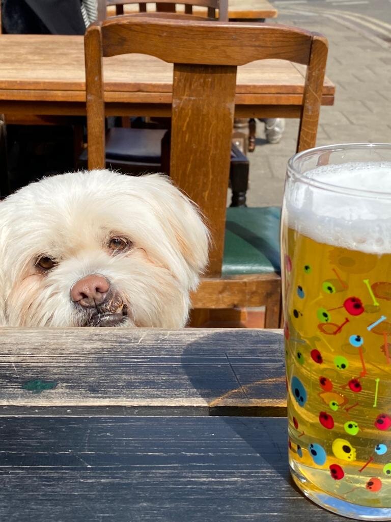 041A8646-8E85-41E6-8AD5-82EE28FA487E