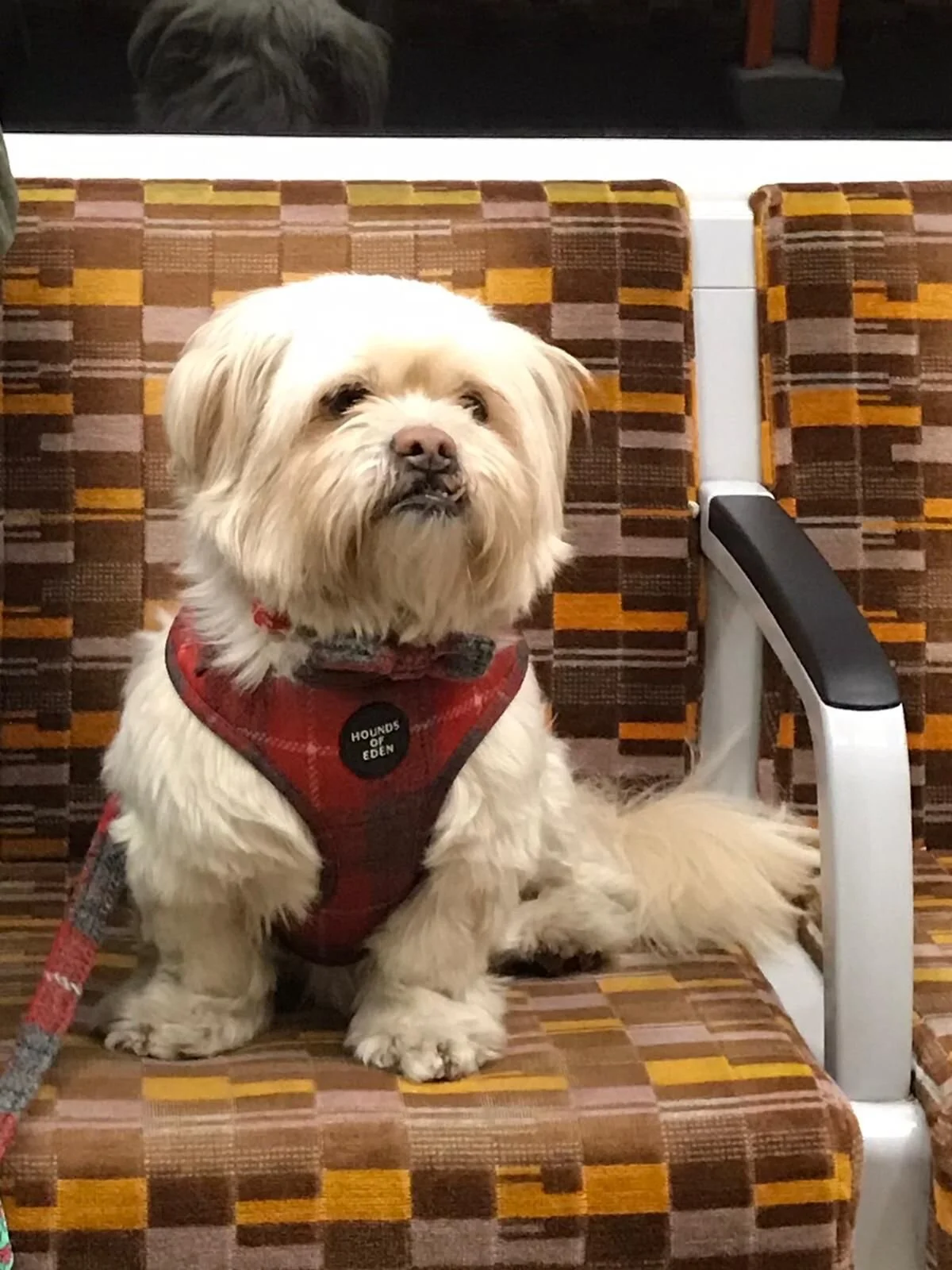 F97104D8-8C00-4217-867F-2F6C24BB00BB