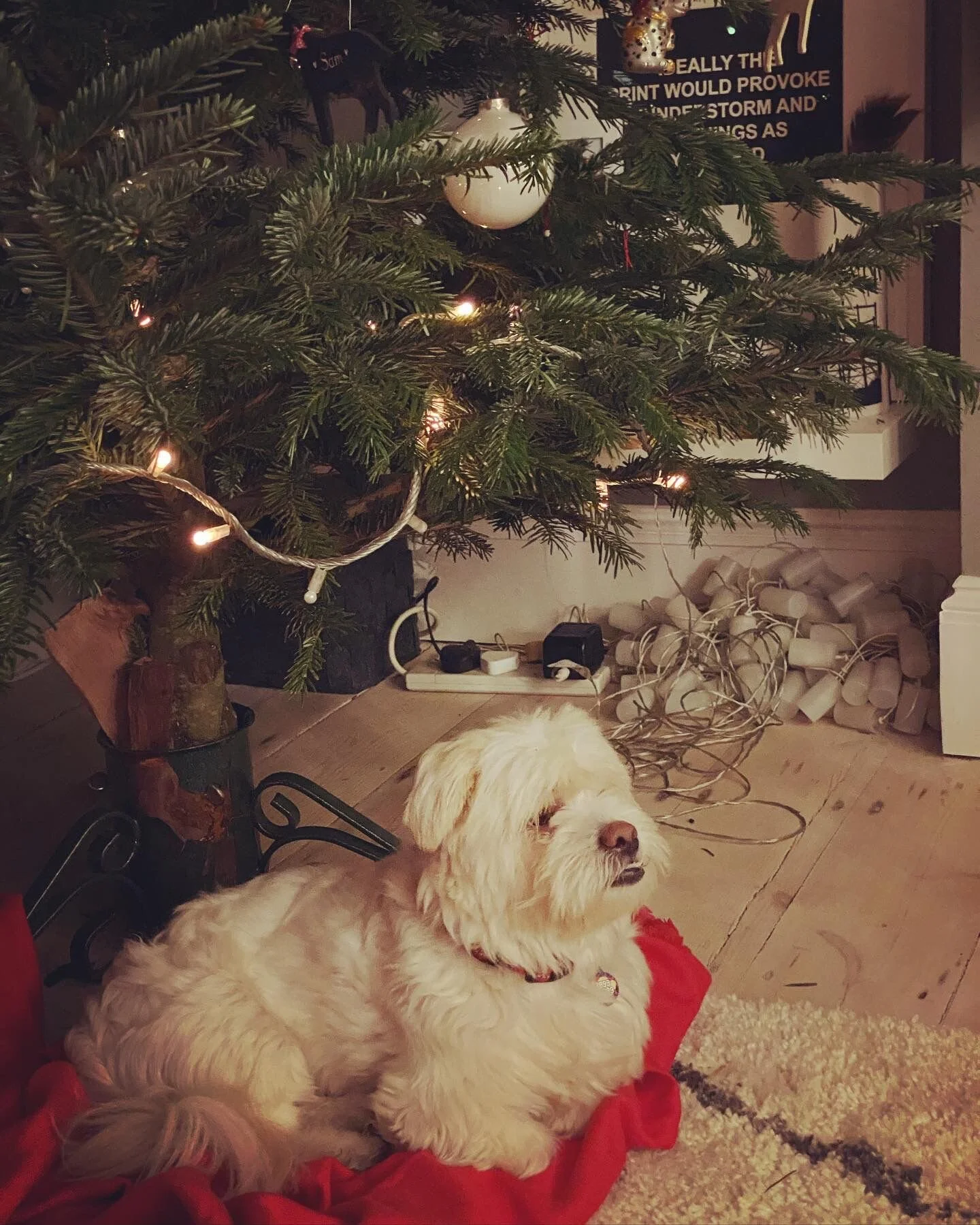 AD5ED8EB-2C9B-45F7-B59B-F108B492AEDC