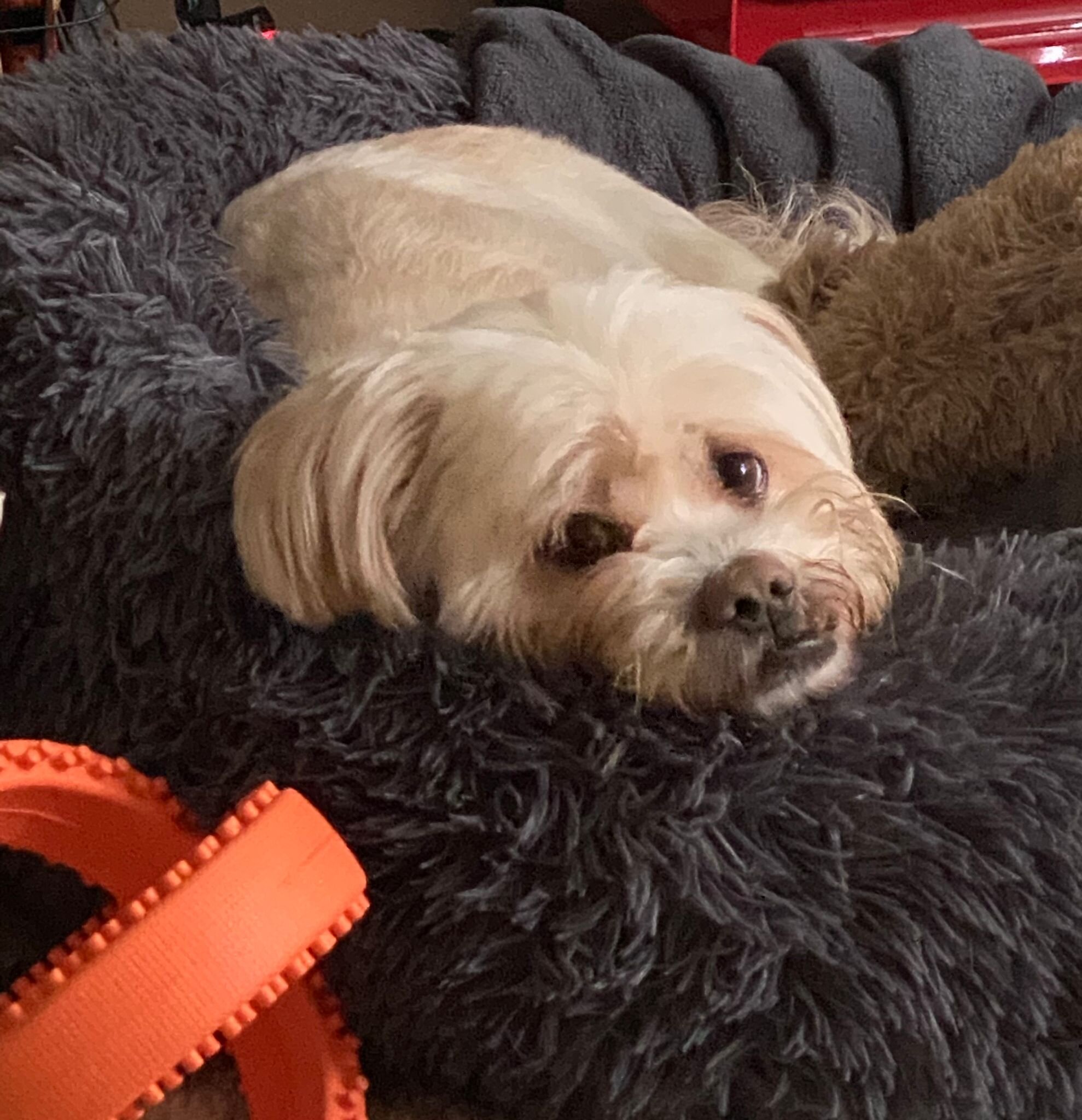 47041ED0-B84E-4F87-896A-5087E1281526